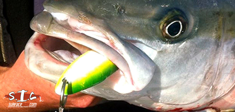 Vintage Yo Ho Ho Lura-1 Fishing Lure Tuna Dorado Yellowtail Amberjack  Barricuda