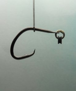 Quick Rig/ GO 2 Hooks