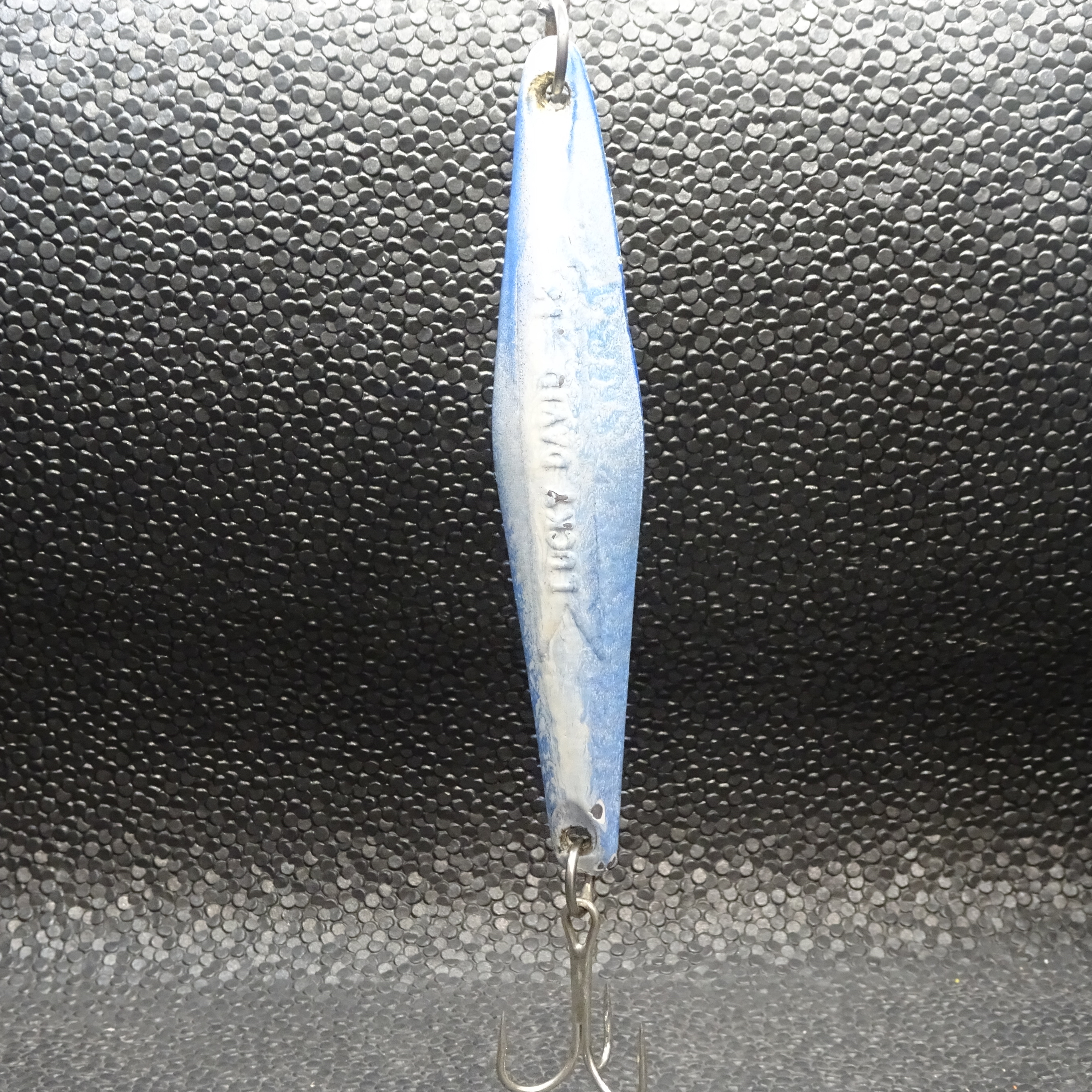 Tady - Lucky David 12 - Blue Sardine Transition