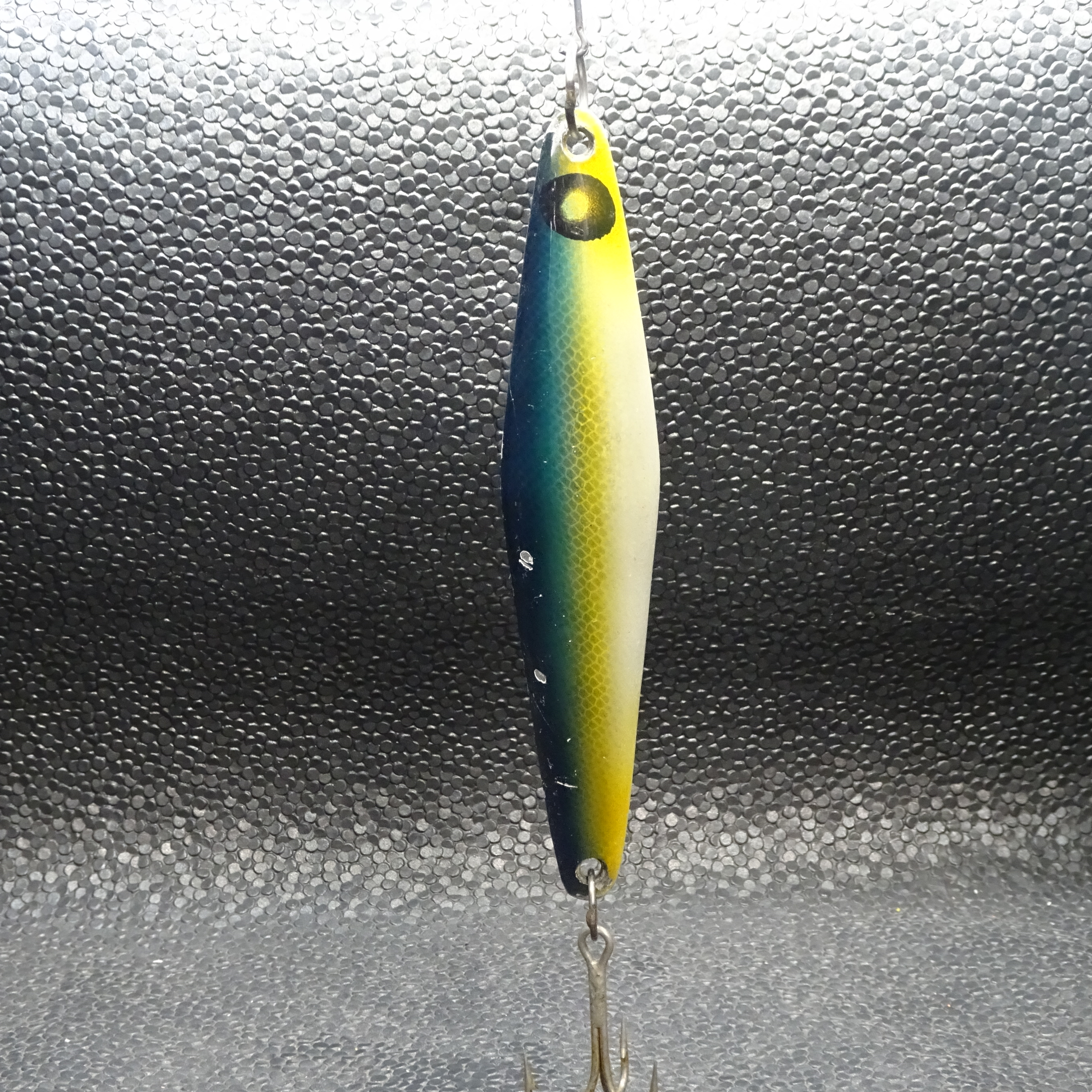 Rodger Dodger - Blue/Green/White