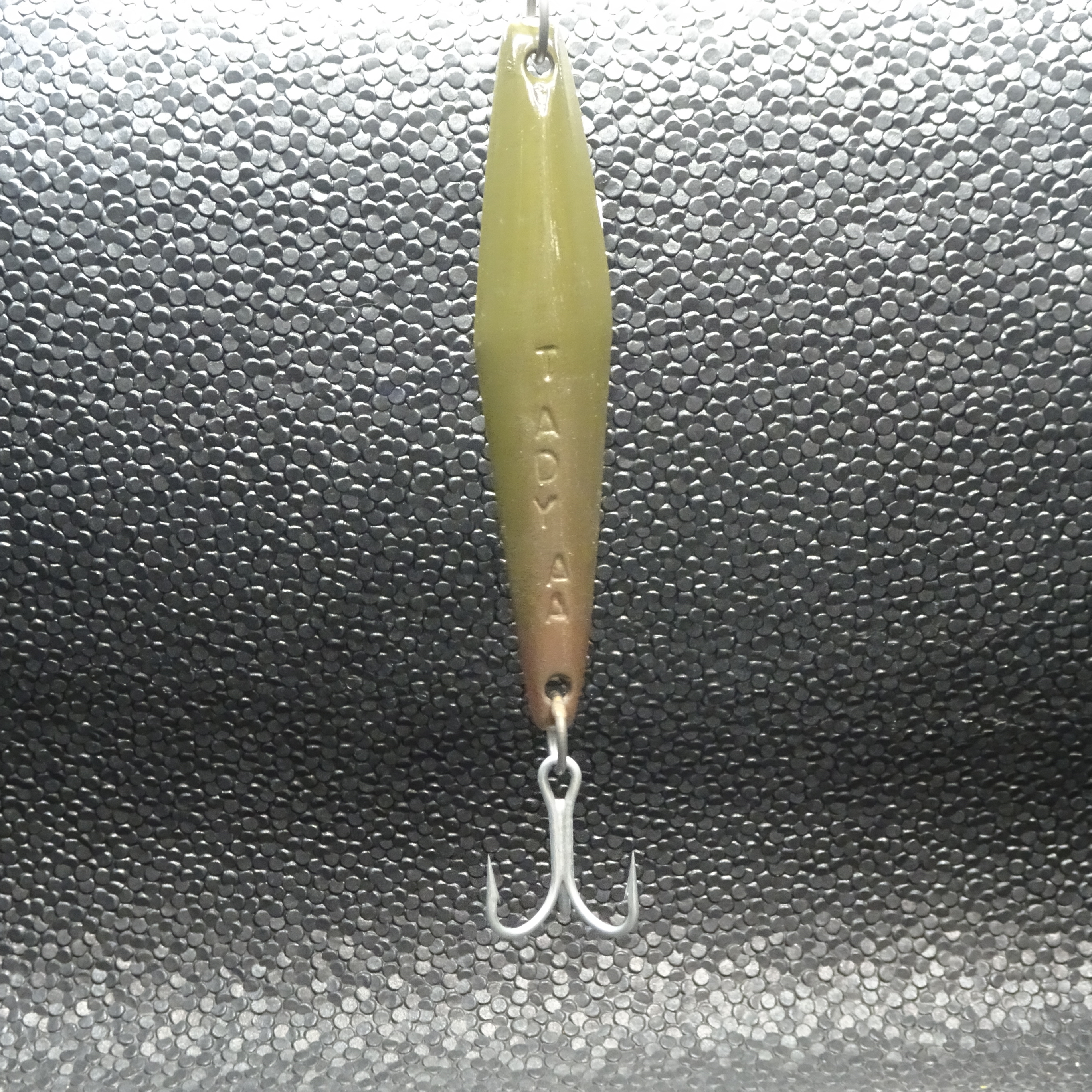 Tady - AA - Brown Bait