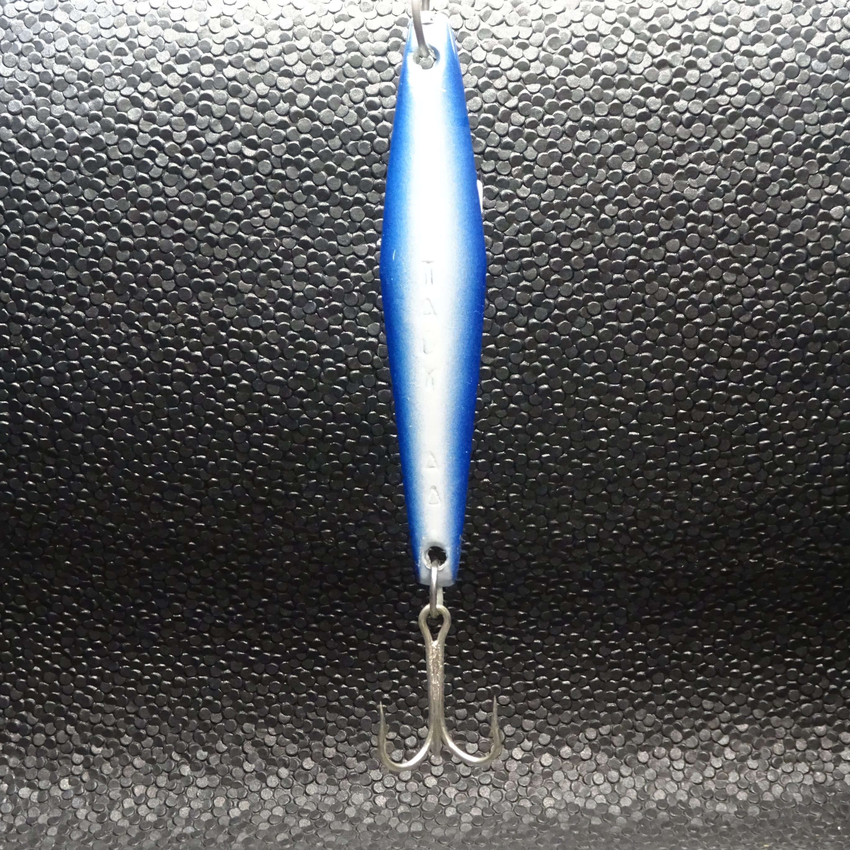 Tady - AA - Blue/White