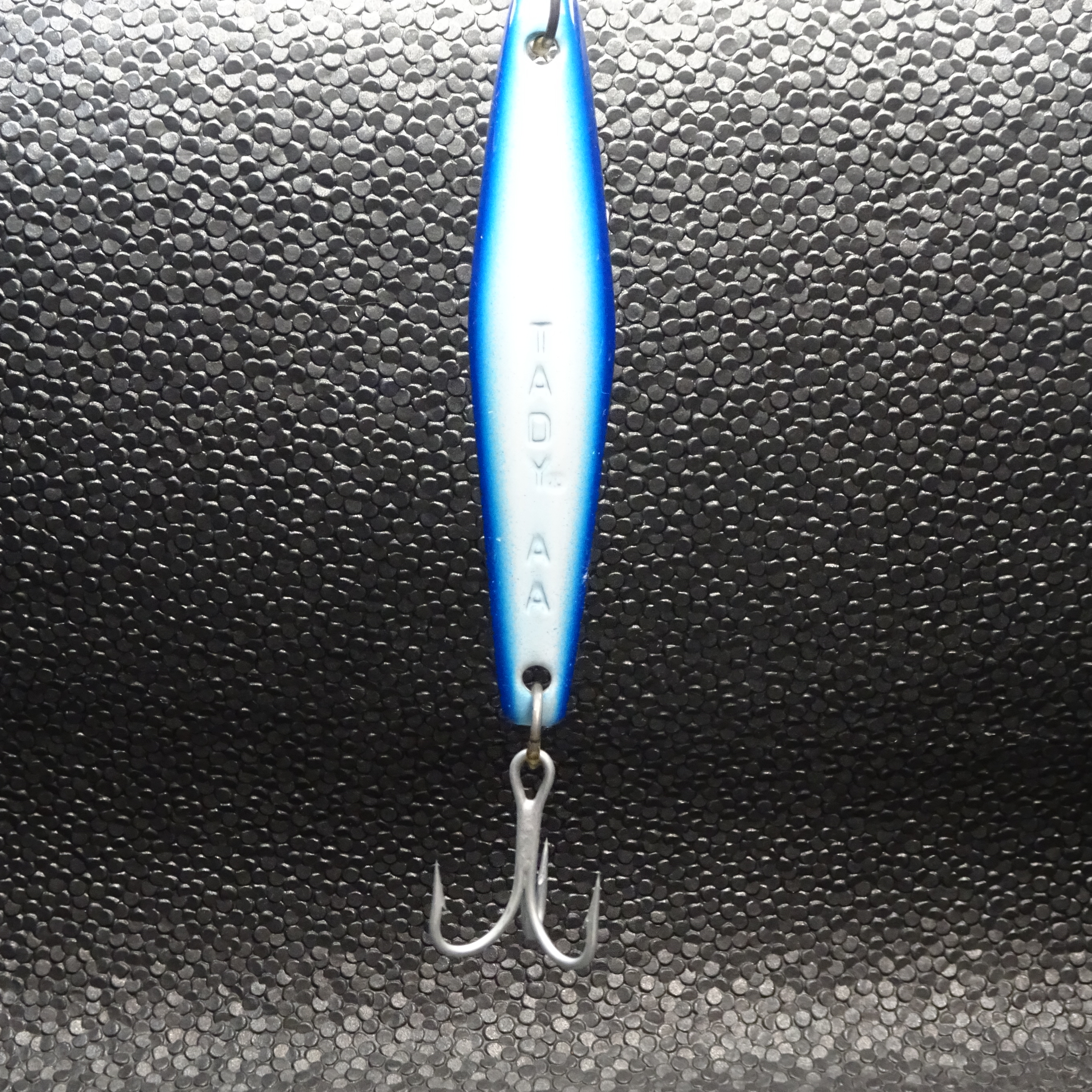Tady - AA - *Heavy* - Blue/White
