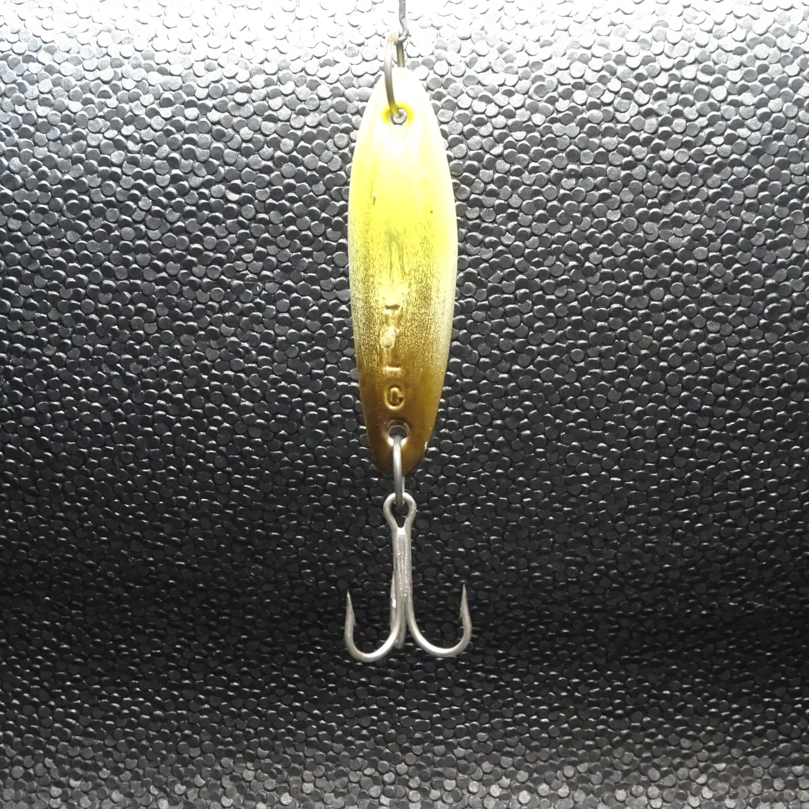 Tady - TLC - Green/Yellow Sardine