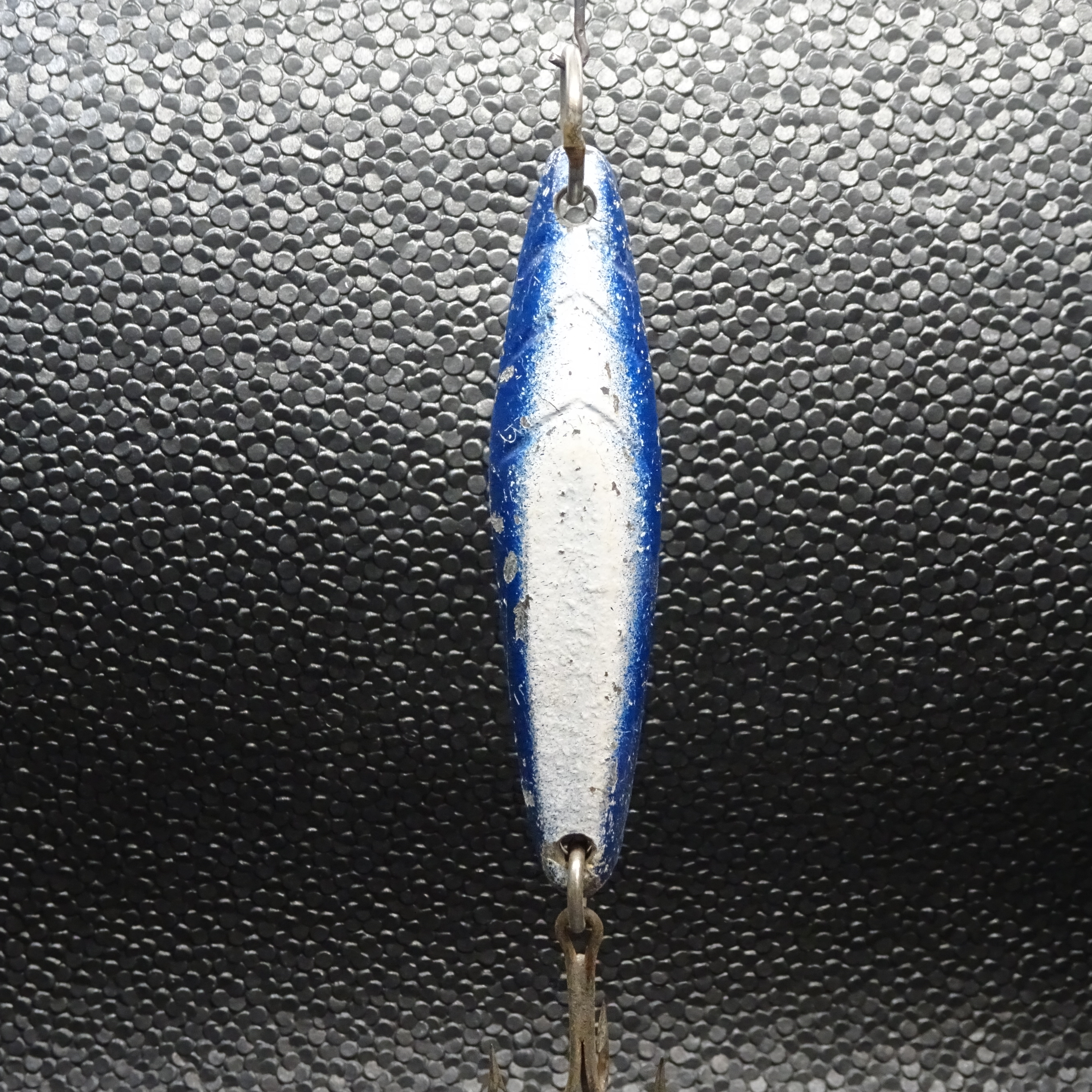 Salas - 1x100 - *Heavy* - Blue/White
