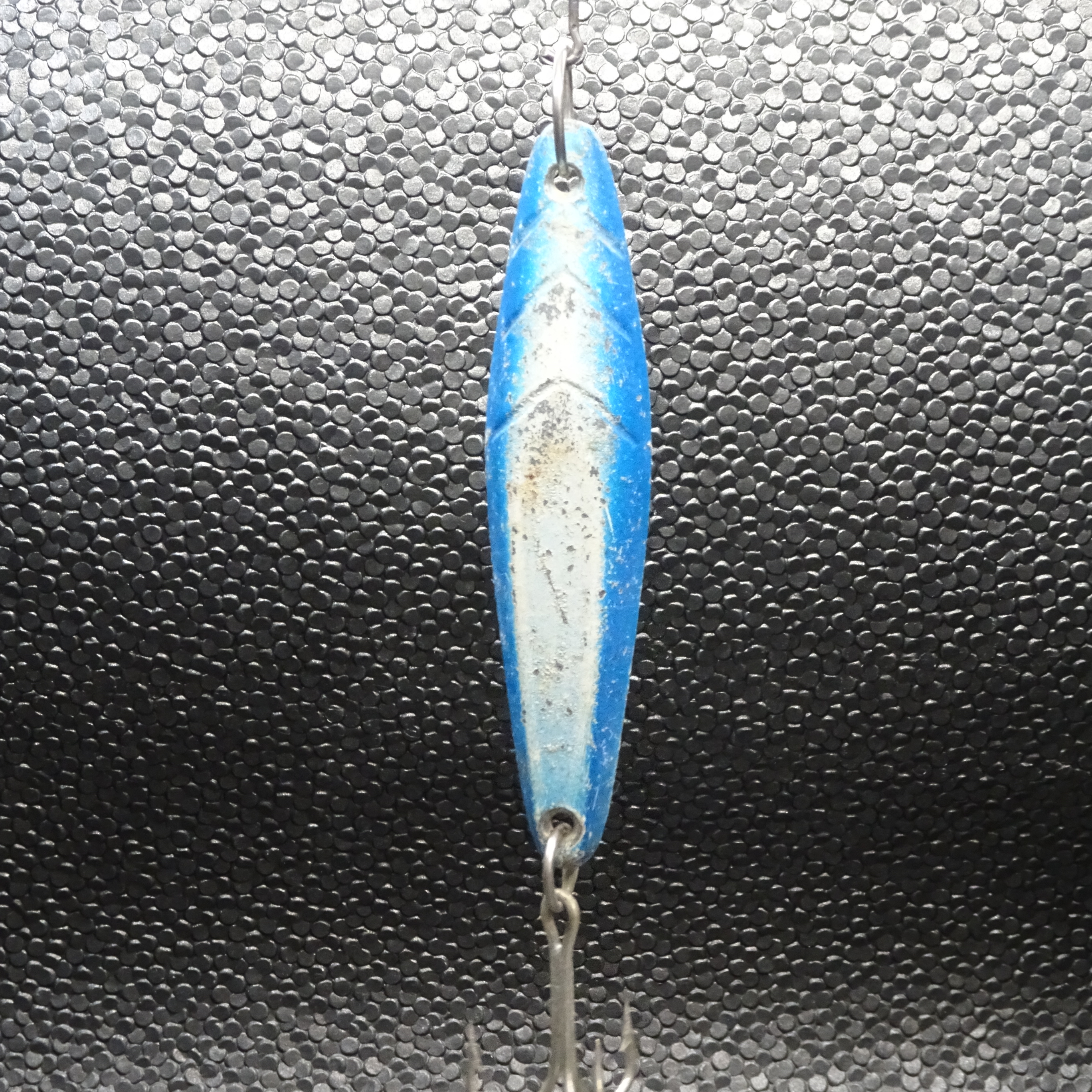 Salas - 1x100 - *Heavy* - Blue/White