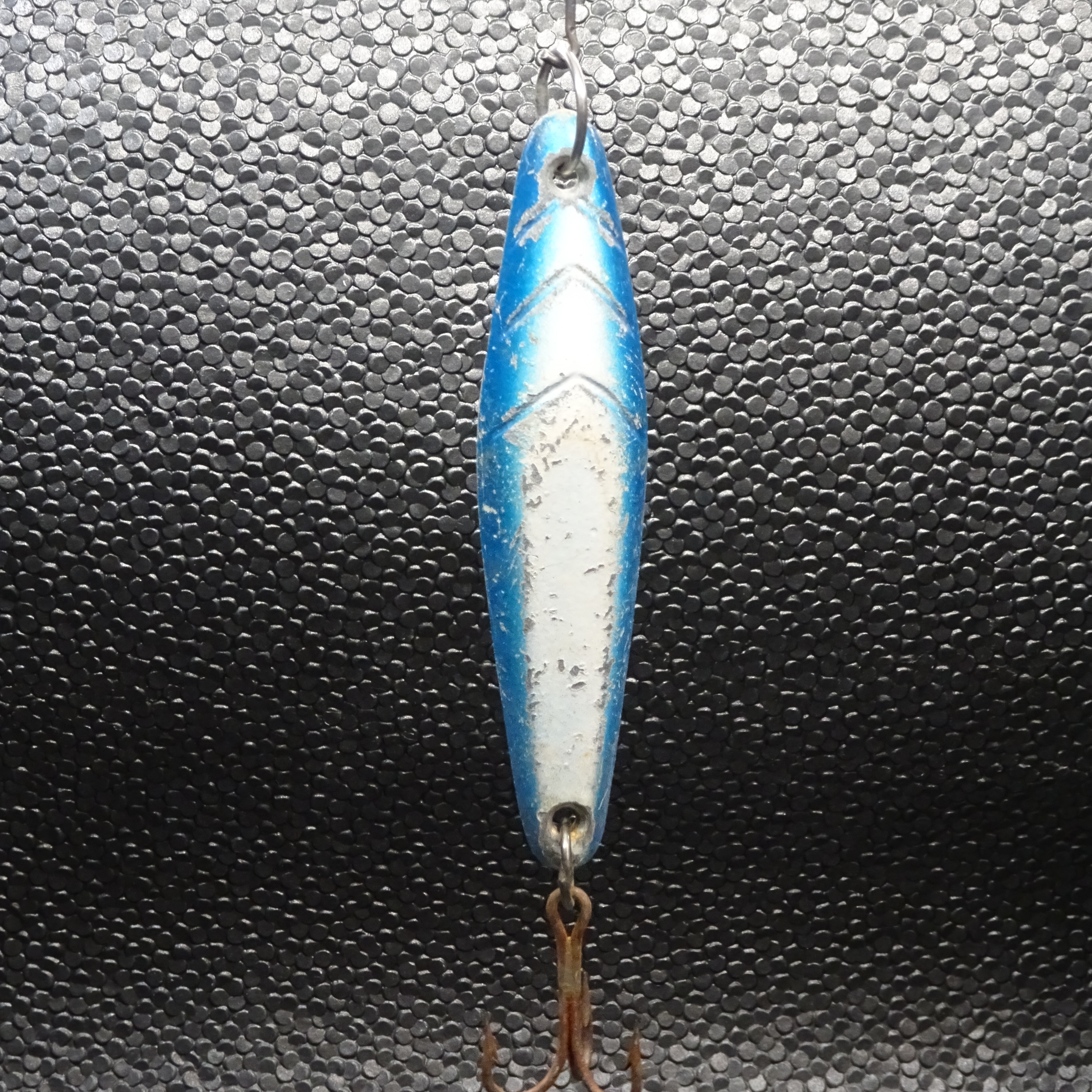 Salas - 1x100 - *Heavy* - Blue/White