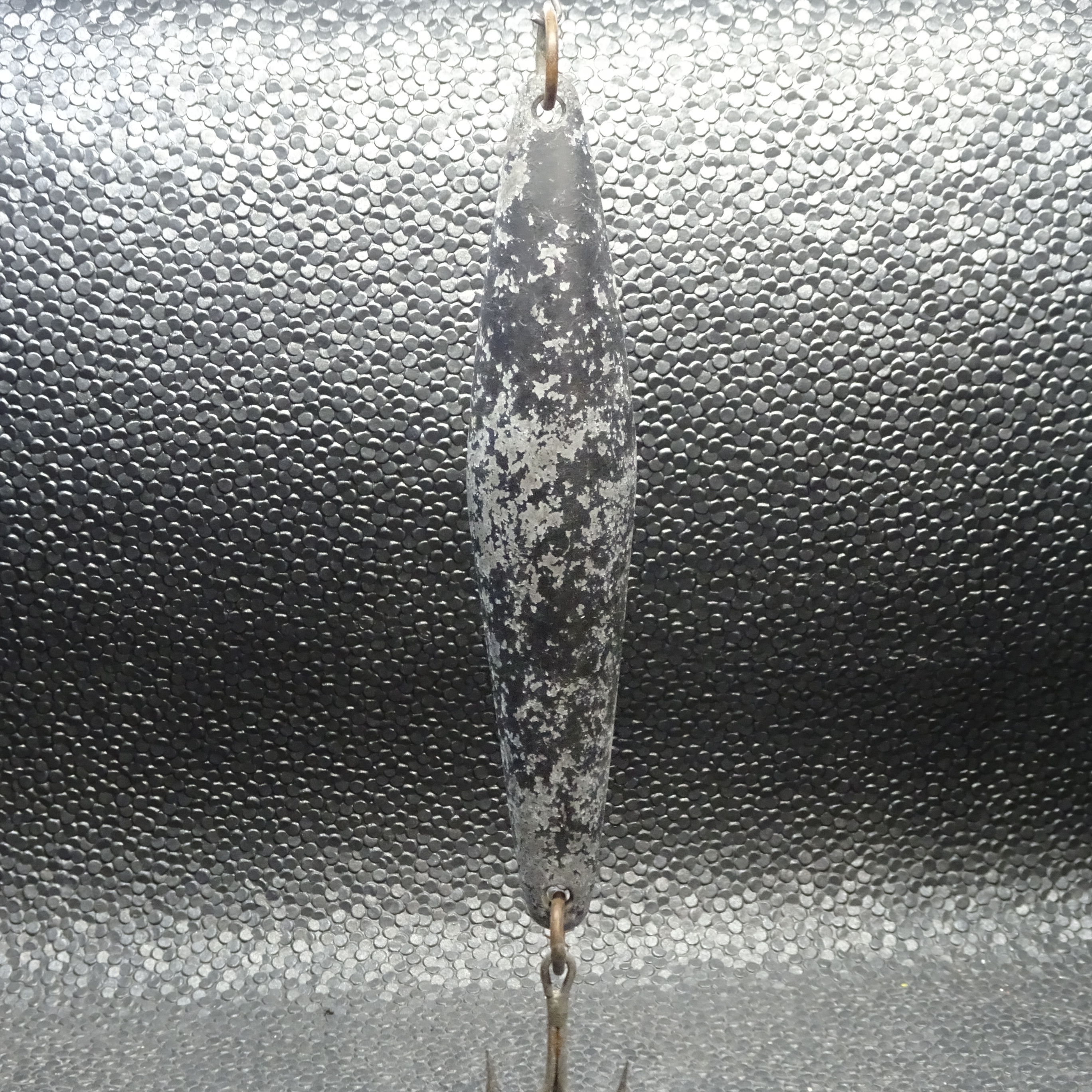 Rodger Dodger - *Light* - Black