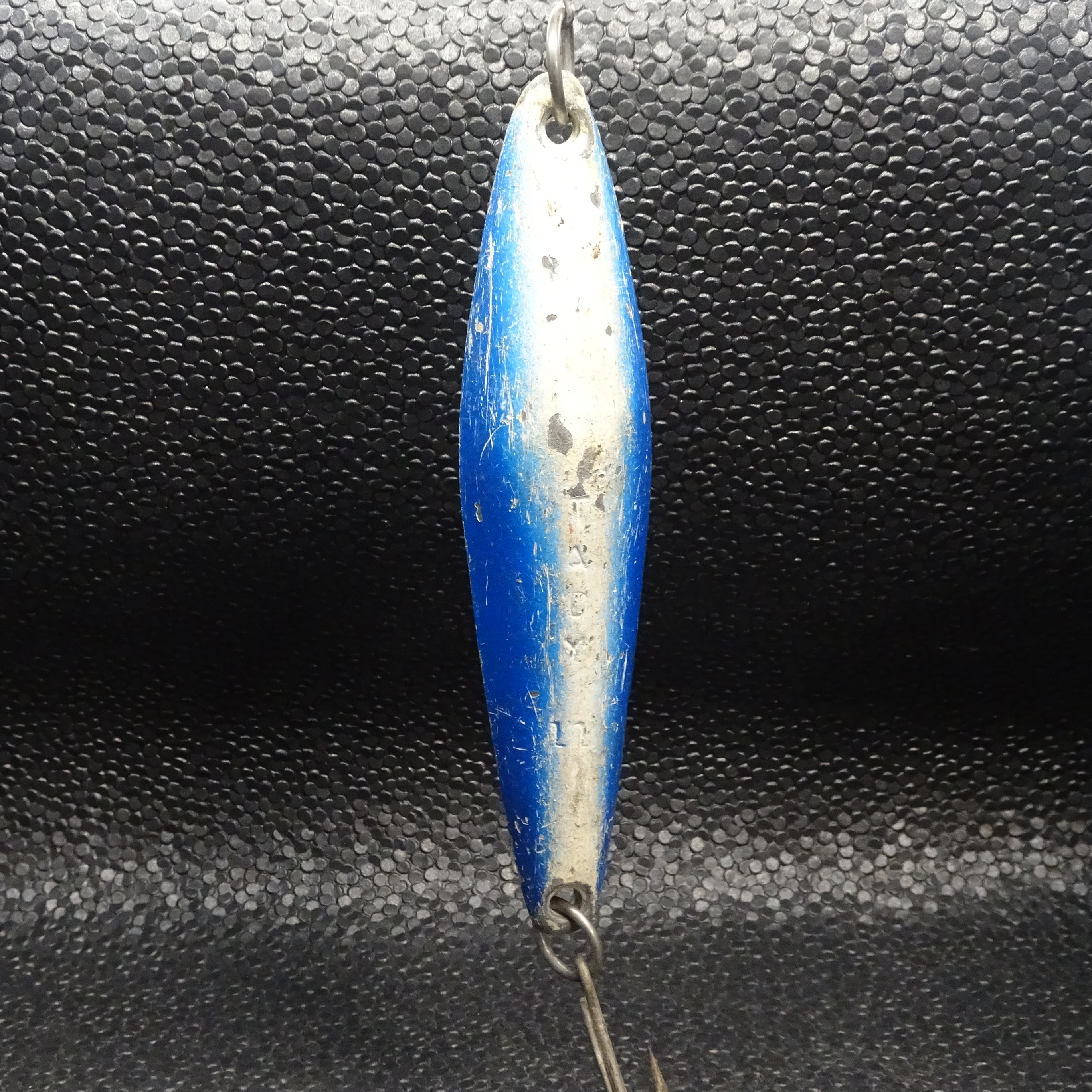 Tady - 11 - Blue/White