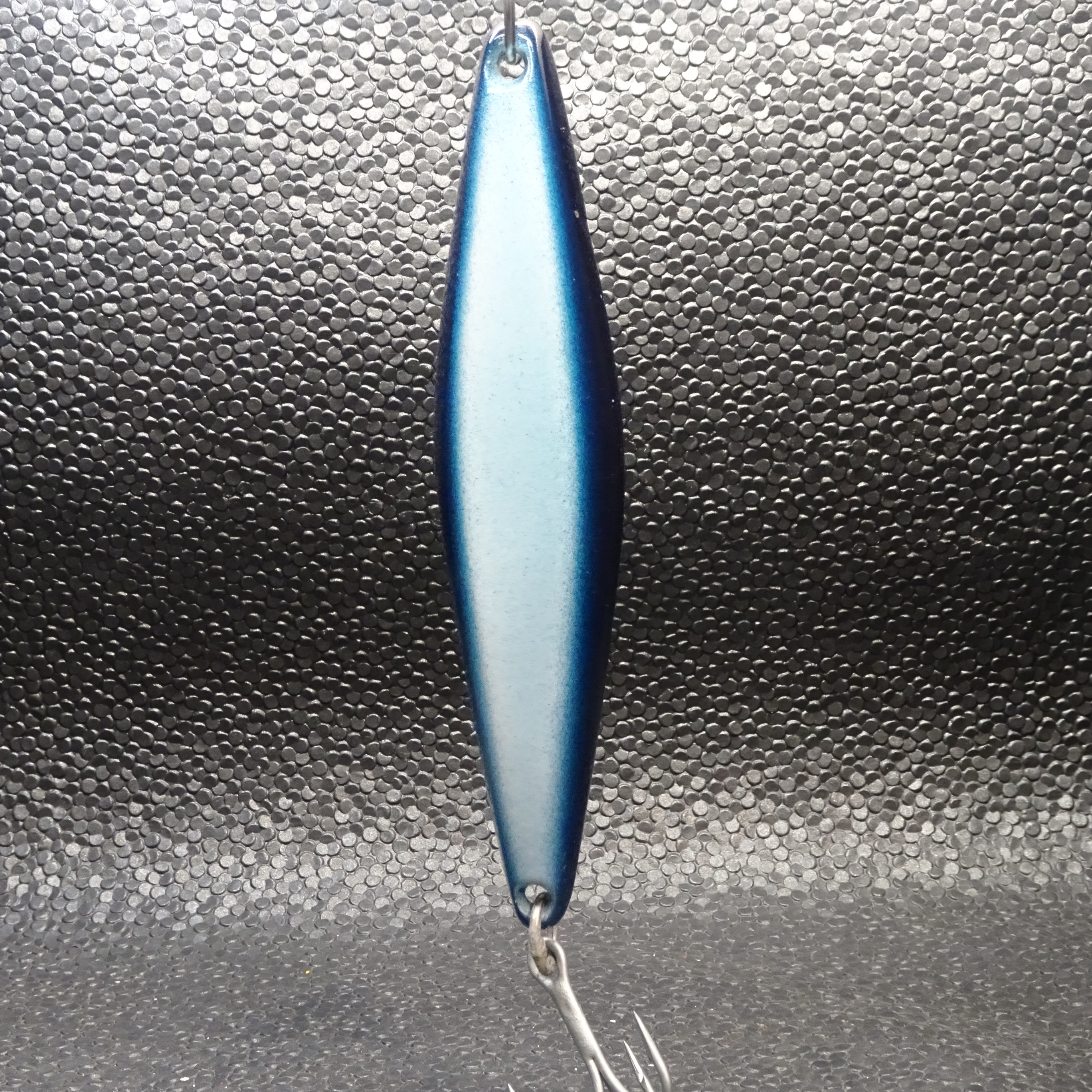 Salas - 4X - FishDog Custom